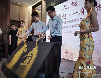 【建發(fā)·雍龍府】萬象城旁，6米層高疊墅驗資首日人氣完爆世界杯開幕式！??！ 